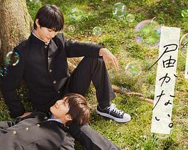 飞艇实力群168赛车平台